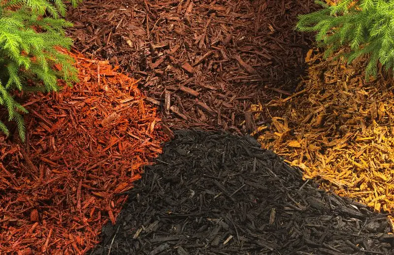 Dyed Mulch