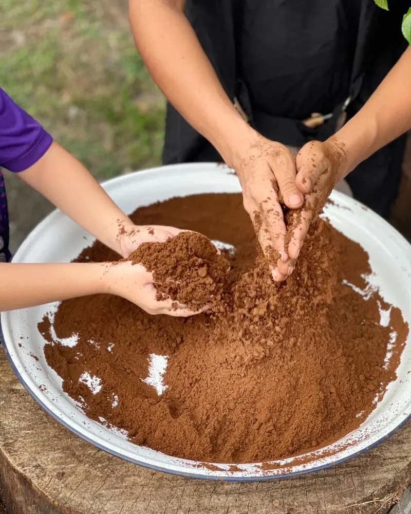 Coffee Ground Compost