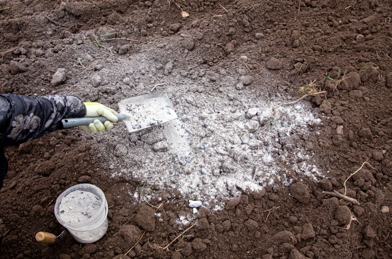 Wood Ash for Disease Prevention