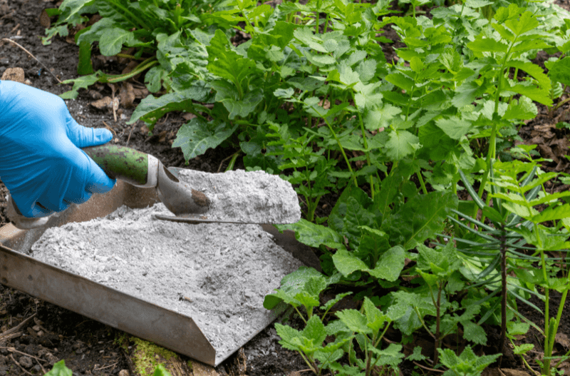 Wood Ash as a Nutrient Source