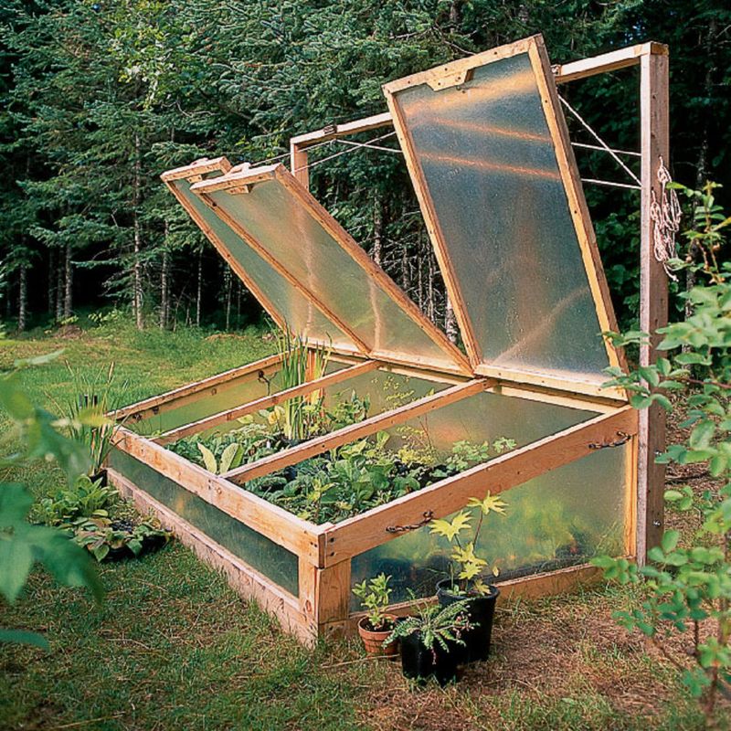 Cold Frame Gardening