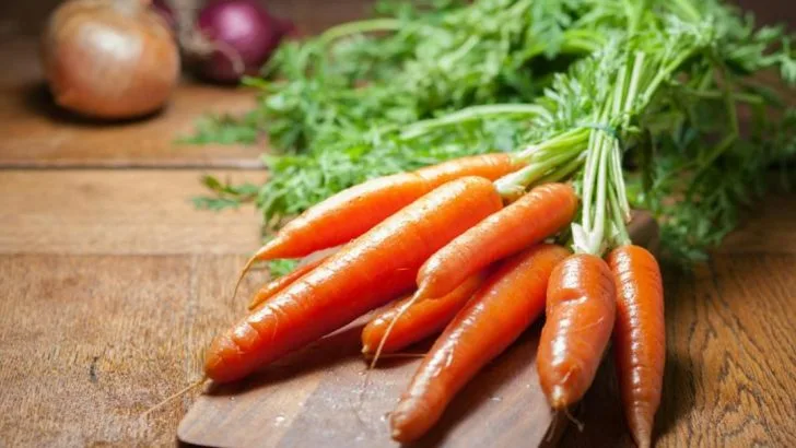 Cold Frame Vegetables for Empty-Nesters Who’ve Discovered Year-Round Gardening