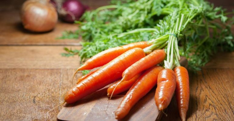 Cold Frame Vegetables for Empty-Nesters Who’ve Discovered Year-Round Gardening