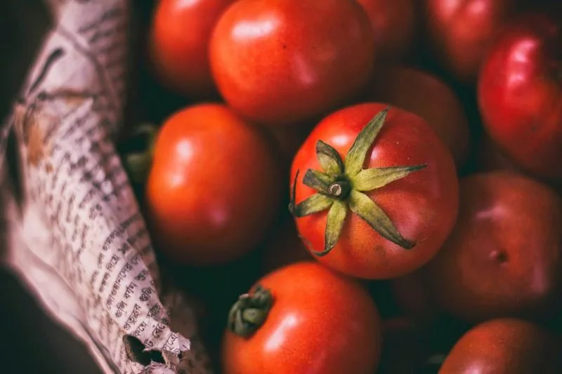 Salt Stress for Lycopene Enrichment