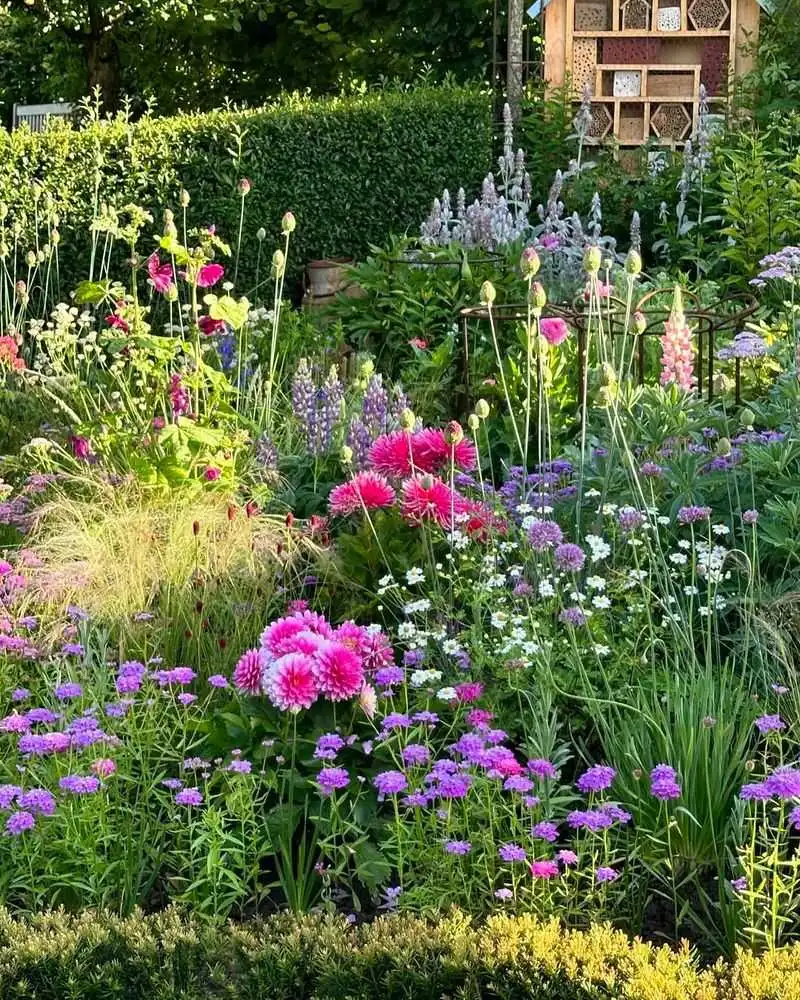 Colorful Floral Symphony