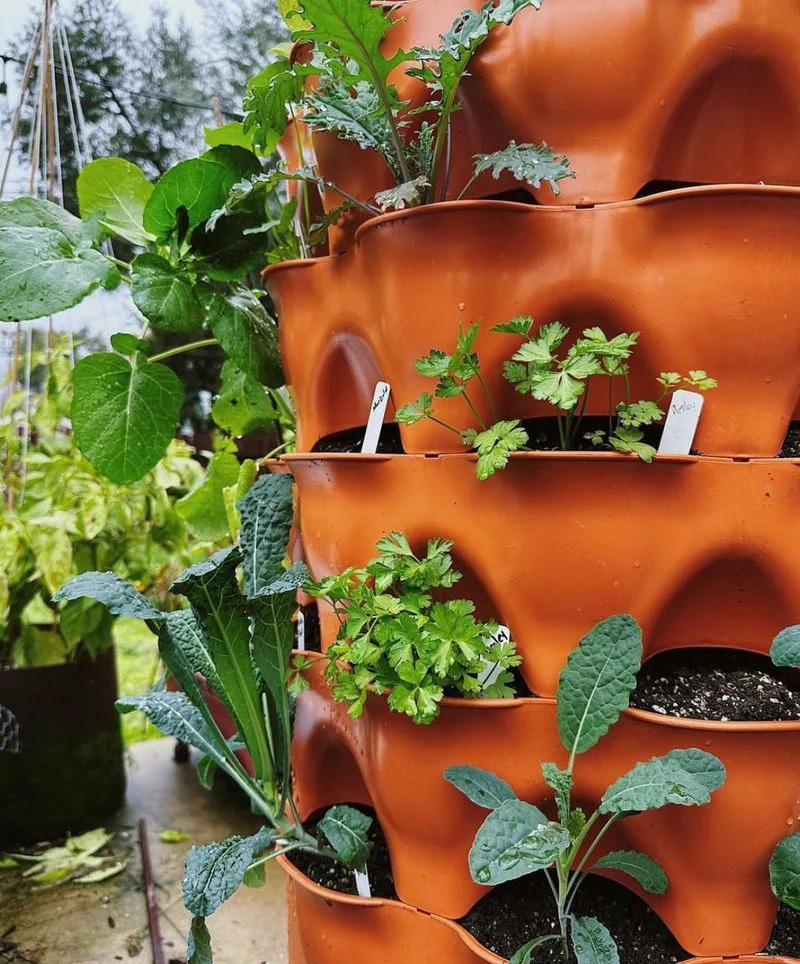 Community Tower Garden Project