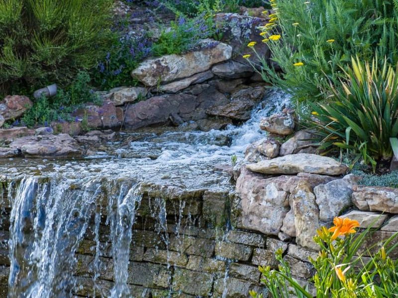 Water Garden Symphony
