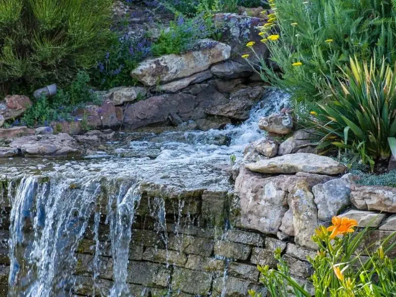 Water Garden Symphony