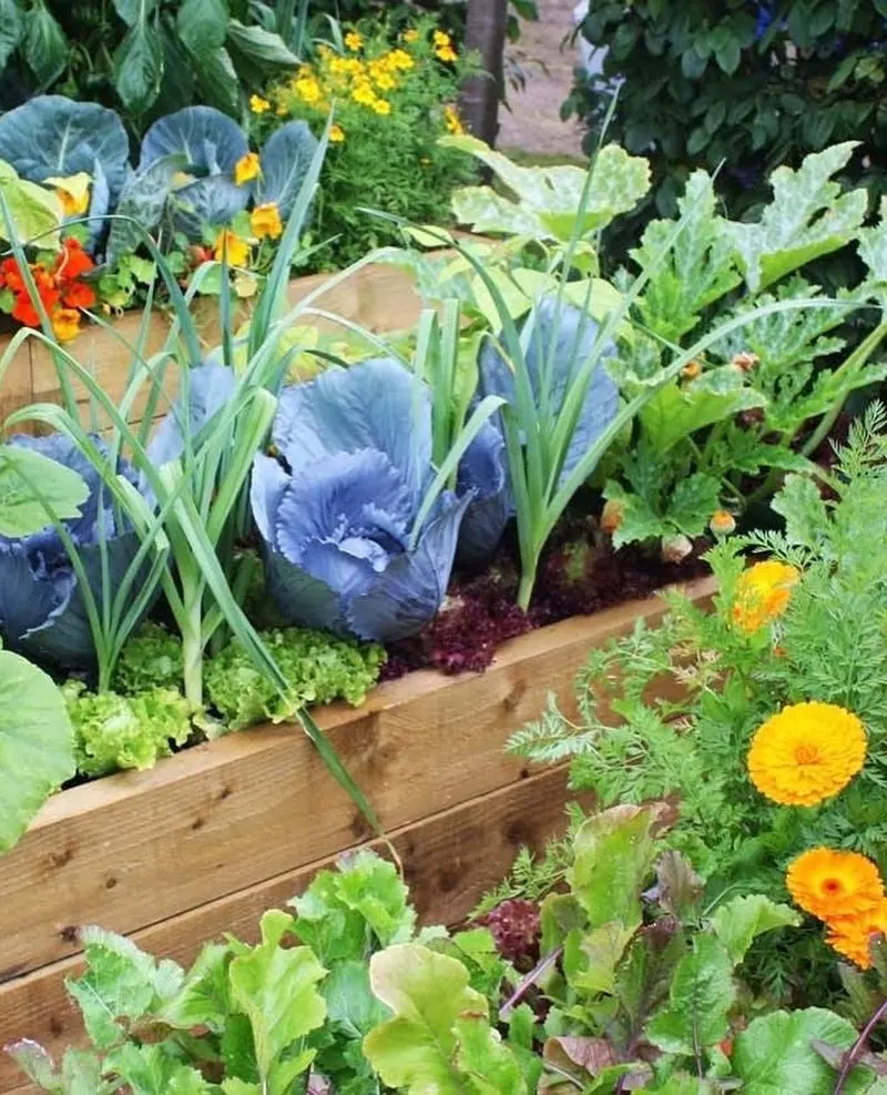 Companion Planting