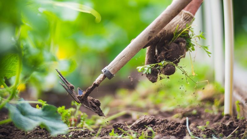 Monitoring and Maintenance