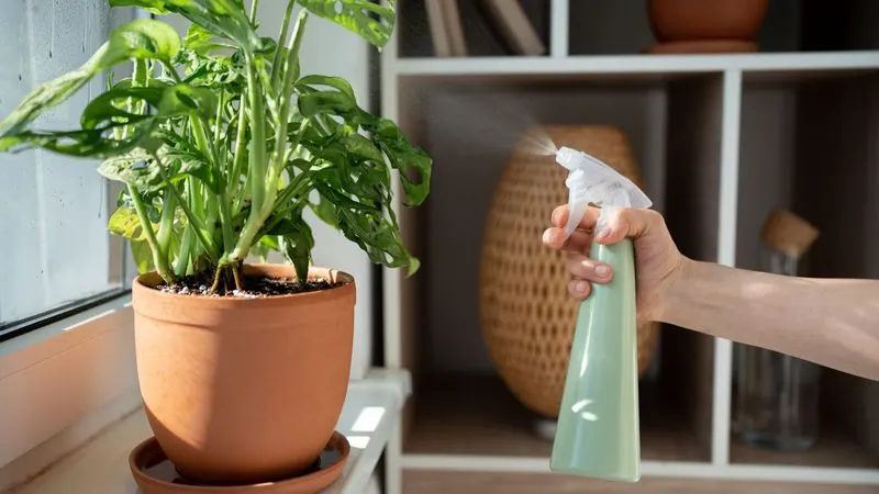 DIY Soap Spray