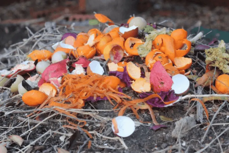 Compost Enrichment