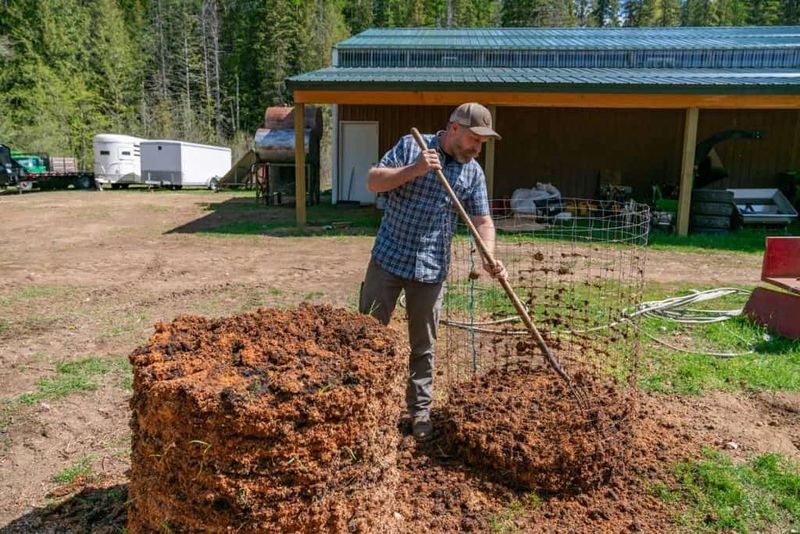 Compost Pile Check