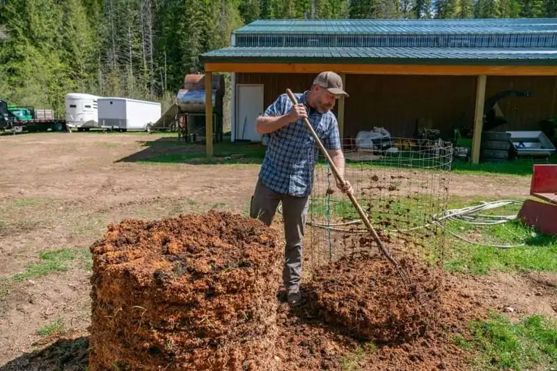 Compost Pile Check