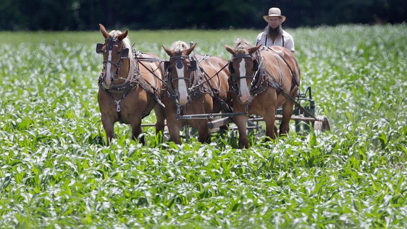 Crop Rotation Practices
