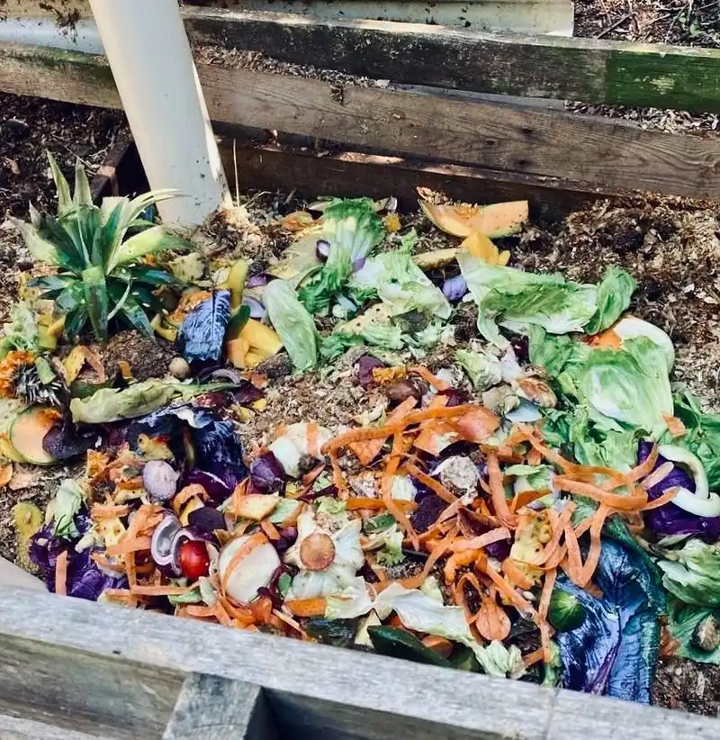 Compost from Kitchen Scraps