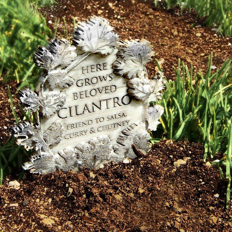 Create a Plant Graveyard