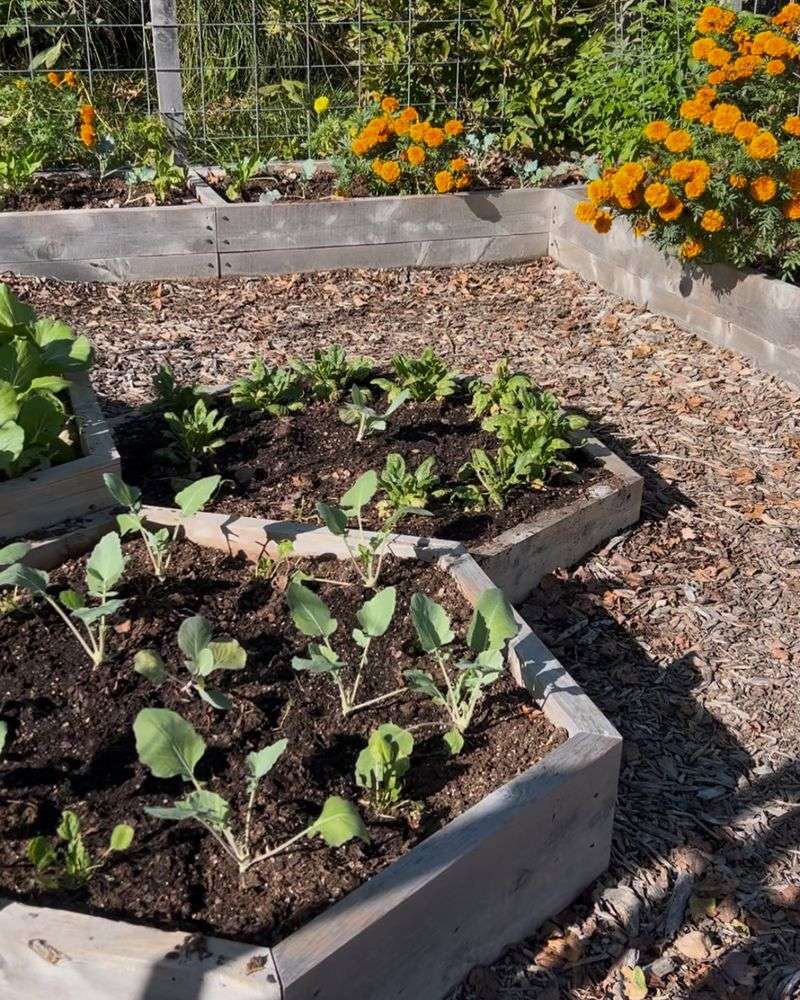 Composting