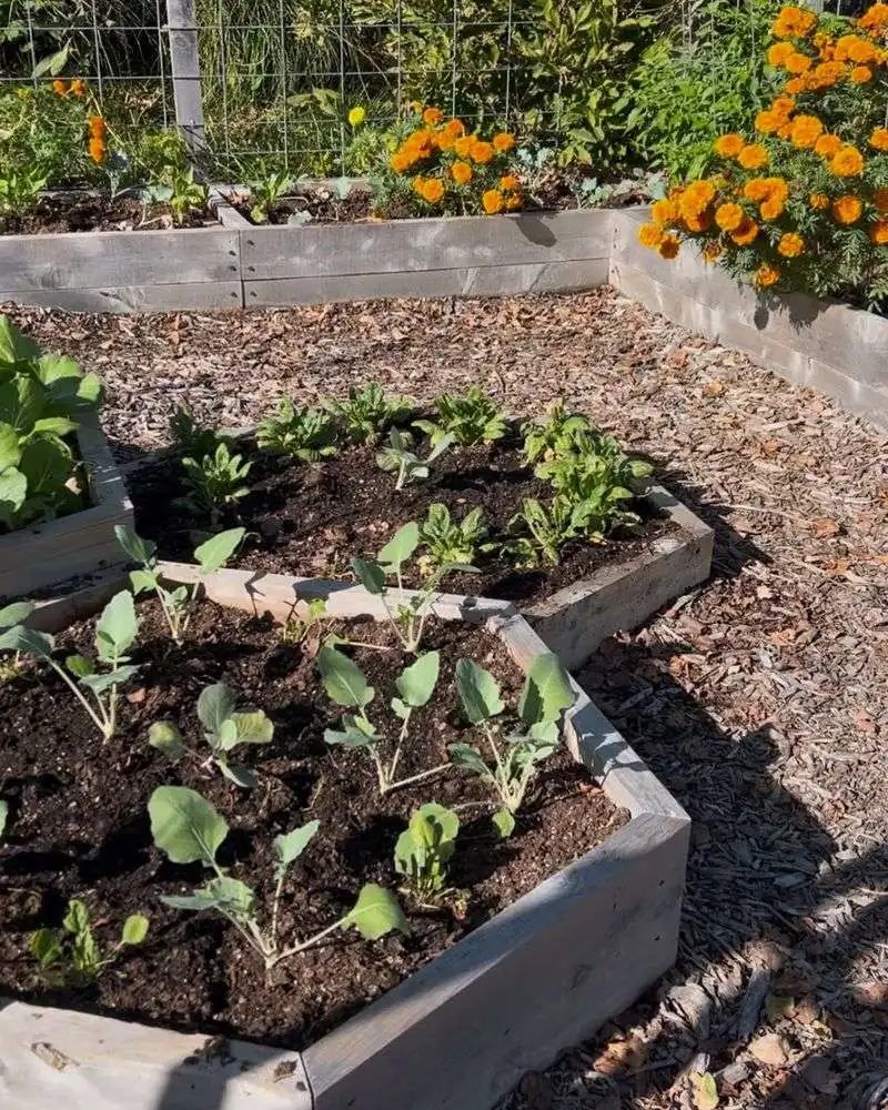 Composting