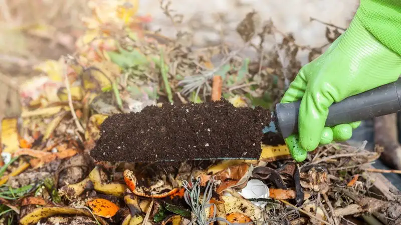 Composting Mistakes