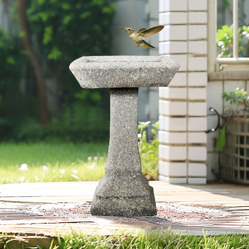 Concrete Bird Bath