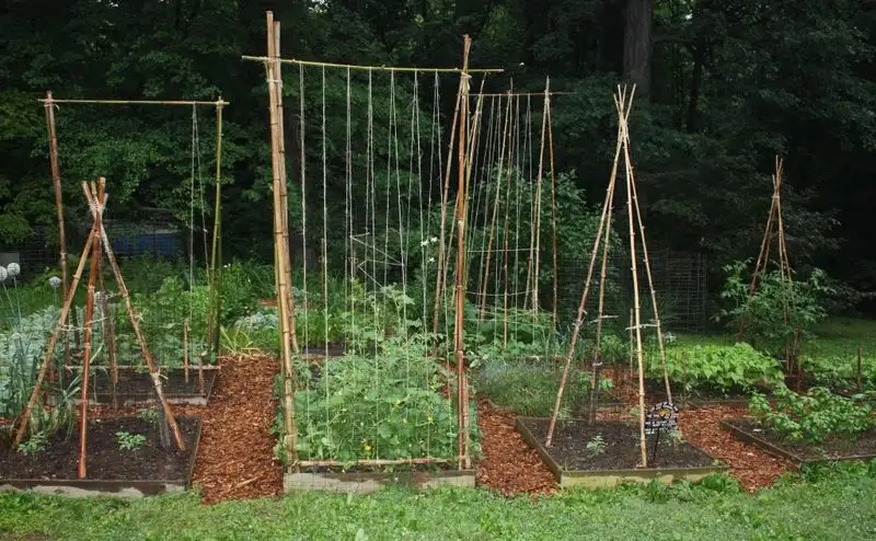 Construct a Trellis