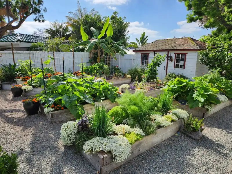 Edible Garden