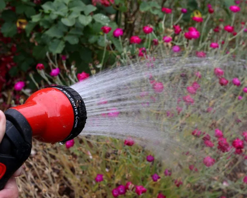 Contaminated Water Sources