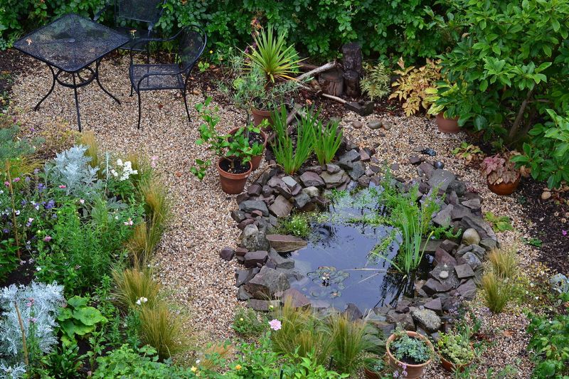 Wildlife-Friendly Garden