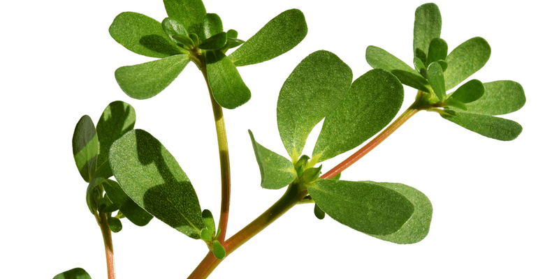 Boosts Skin Health