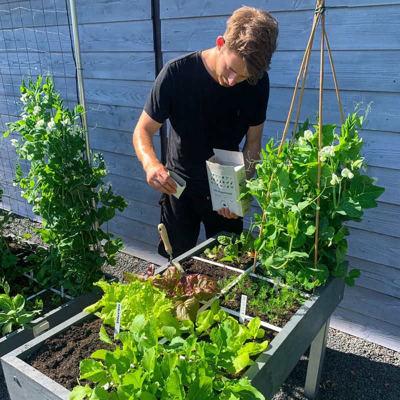 Harvest Early Crops