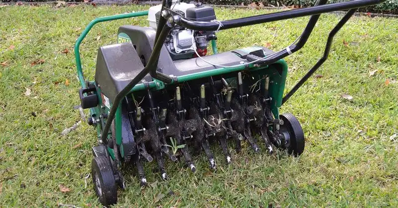 Aerate the Lawn