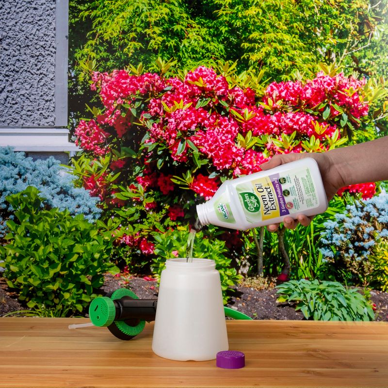 Cost-Effective Gardening