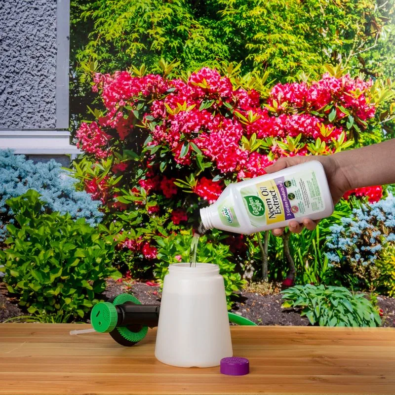 Cost-Effective Gardening
