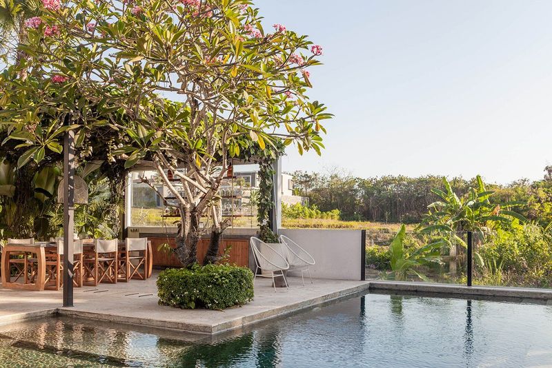 Tropical Oasis