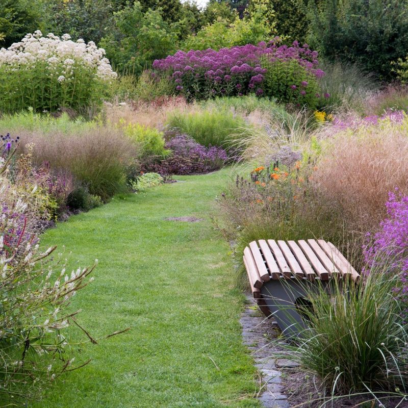 Ornamental Grass Garden