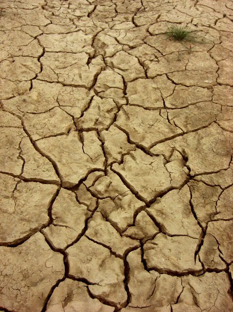 Cracked Soil