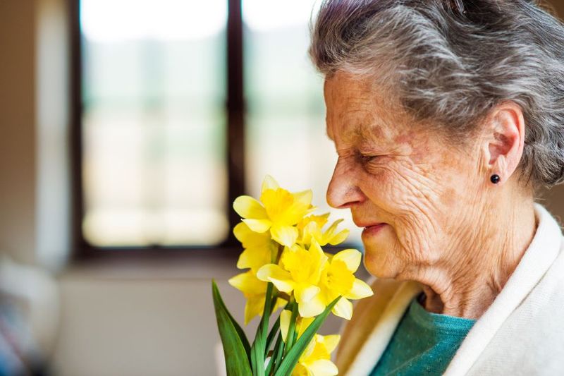 Exploring Aromatherapy
