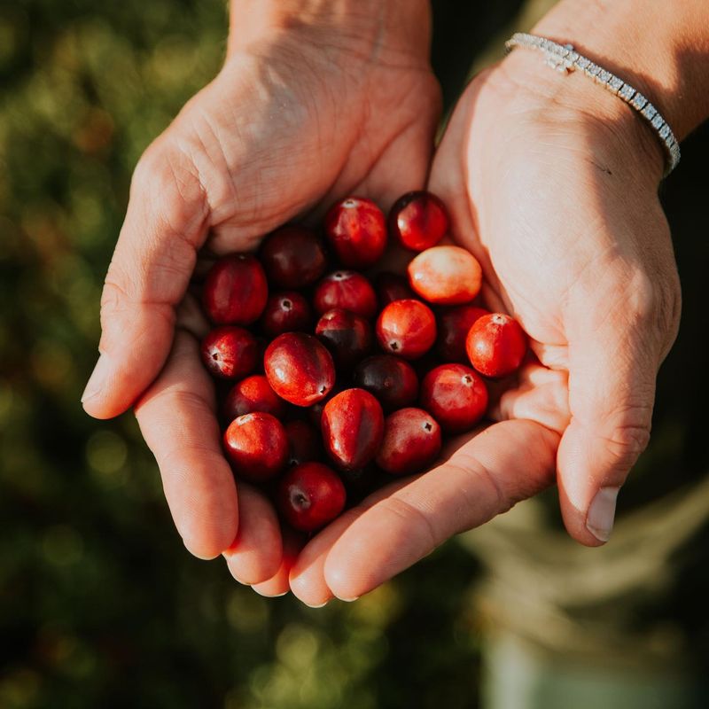 Cranberries