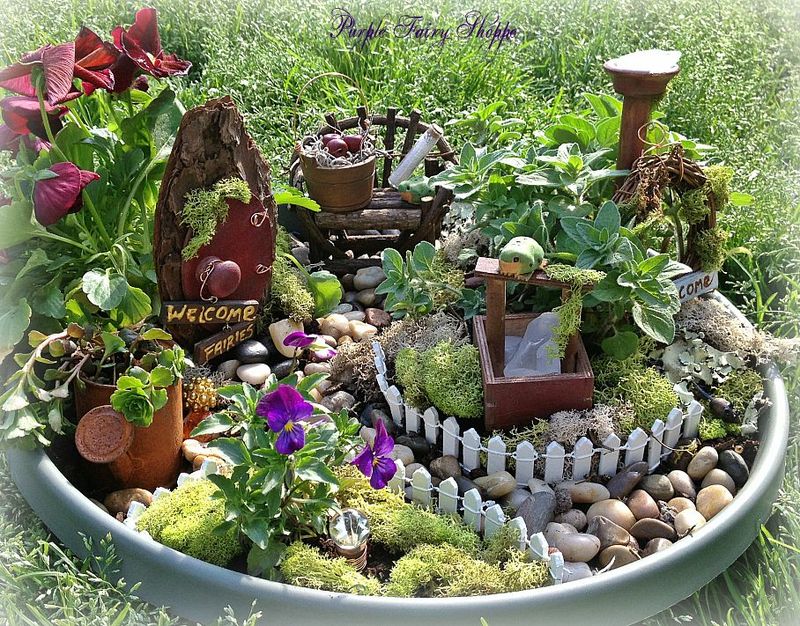 Create a Fairy Garden