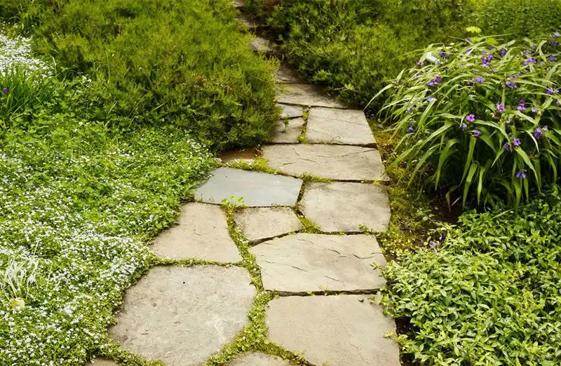 Create a Stone Pathway