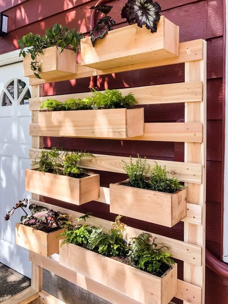 Create a Vertical Garden