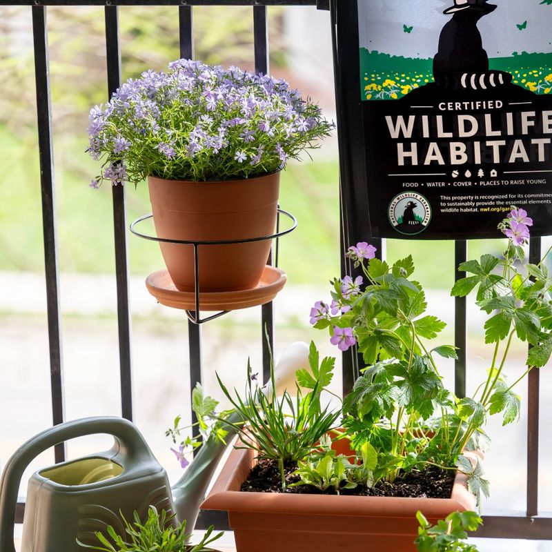 Creating Wildlife Habitats
