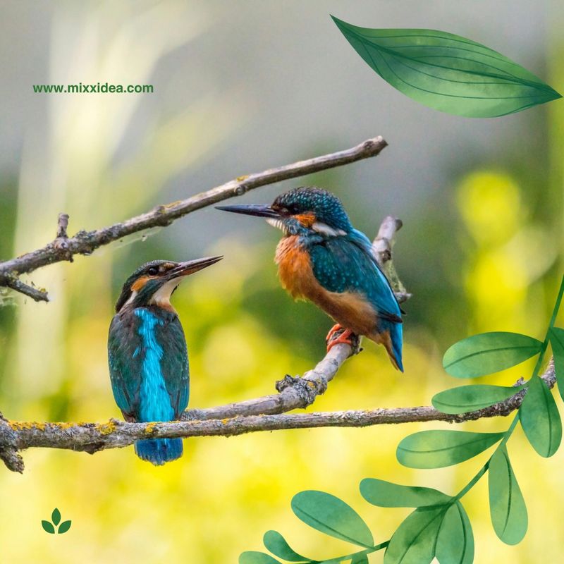 Creating a Bird-Friendly Haven