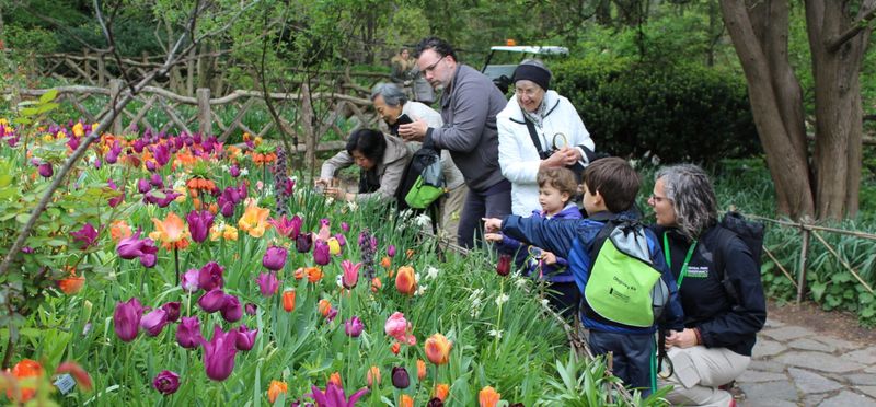 Hosting Seasonal Garden Tours
