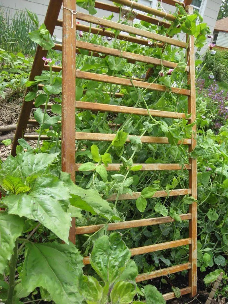 Crib Rail Trellis