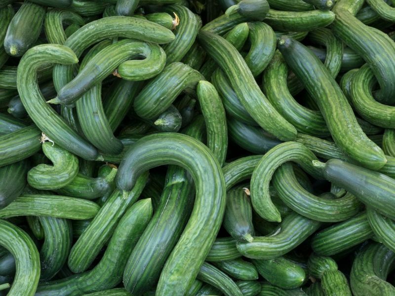 Crooked Cucumbers