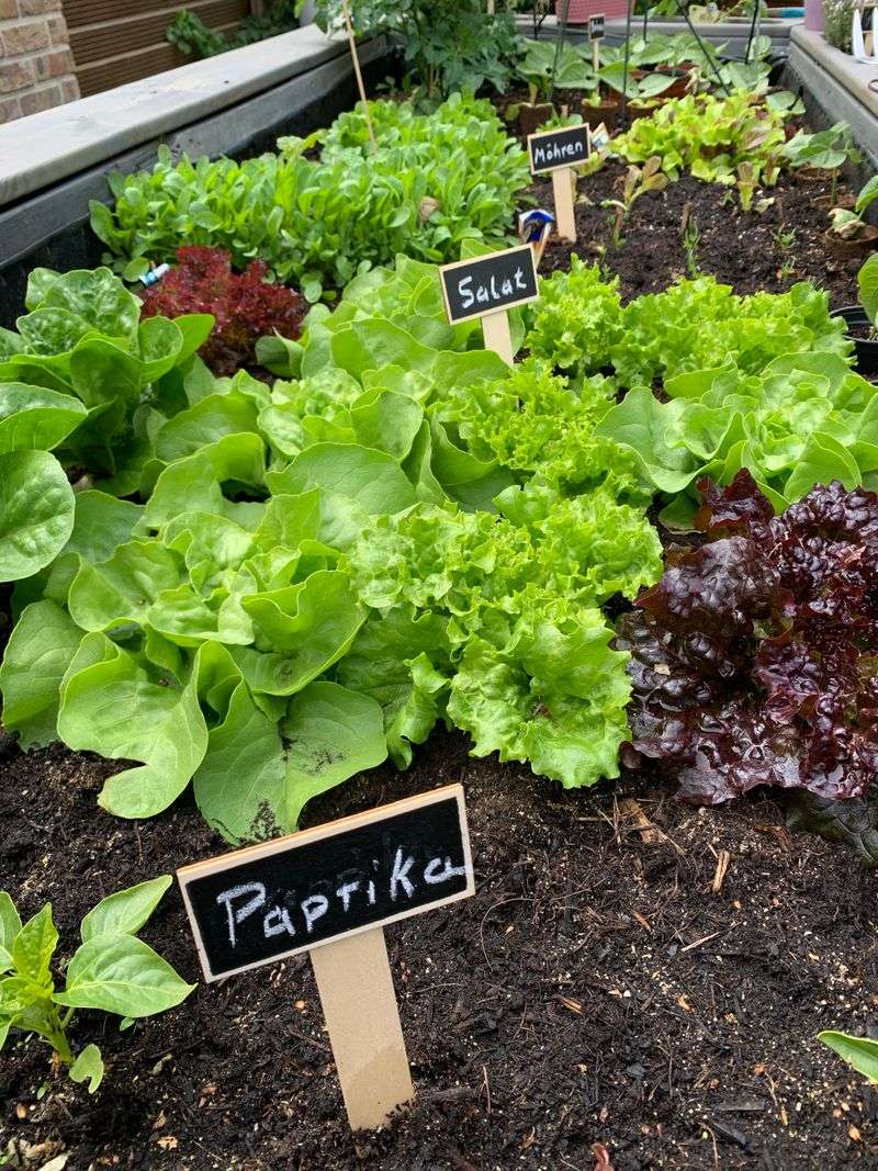 Biodynamic Gardening