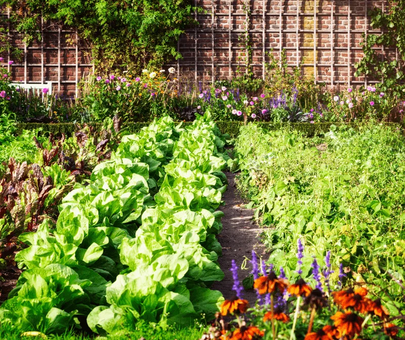 Crop Rotation Insights