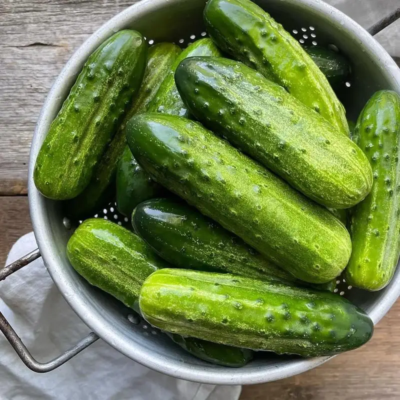 Cucumbers